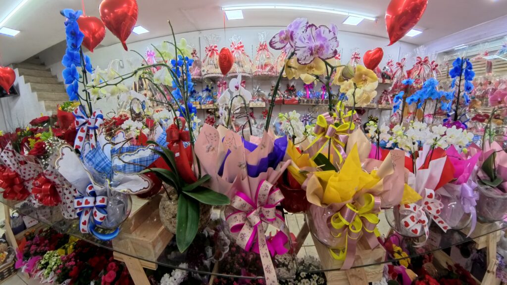 Cestas de Flores - Suely Flores