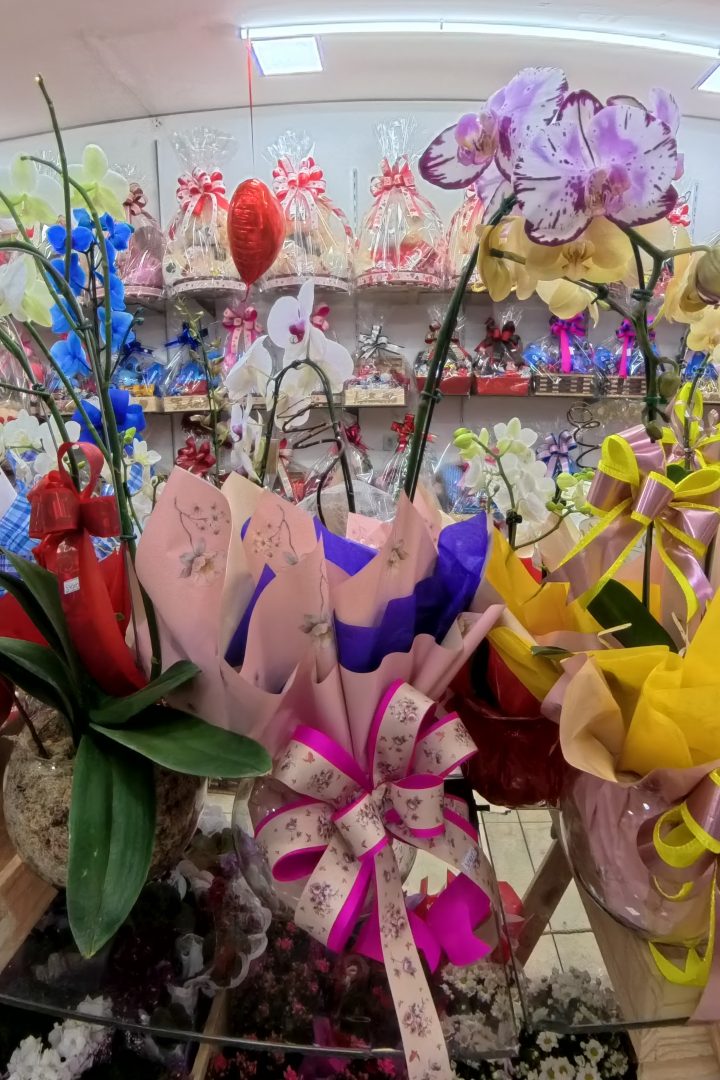 Cestas de Flores - Suely Flores